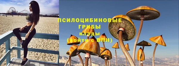 кокаин колумбия Богданович