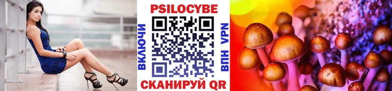 Галлюциногенные грибы Cubensis продажа наркотиков Бузулук